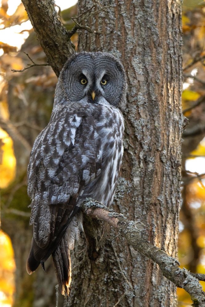 Photograph by Илья Ермакович