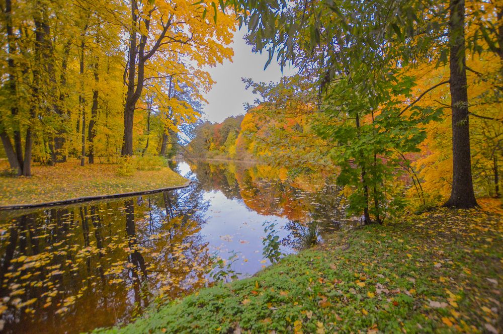 Photograph by Светлана Муравьева