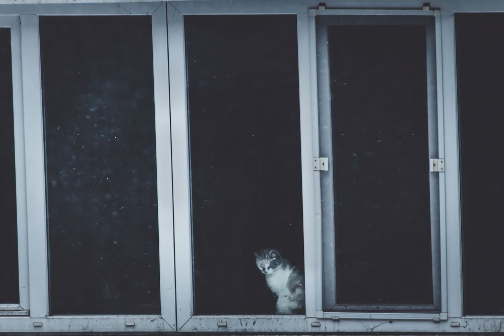 Photograph by Степан Ковыльчик