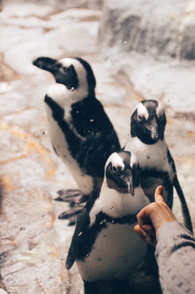 Photograph by Elena Edeleva Еделева