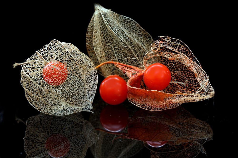 Photograph by Шруб (Беляева) Татьяна