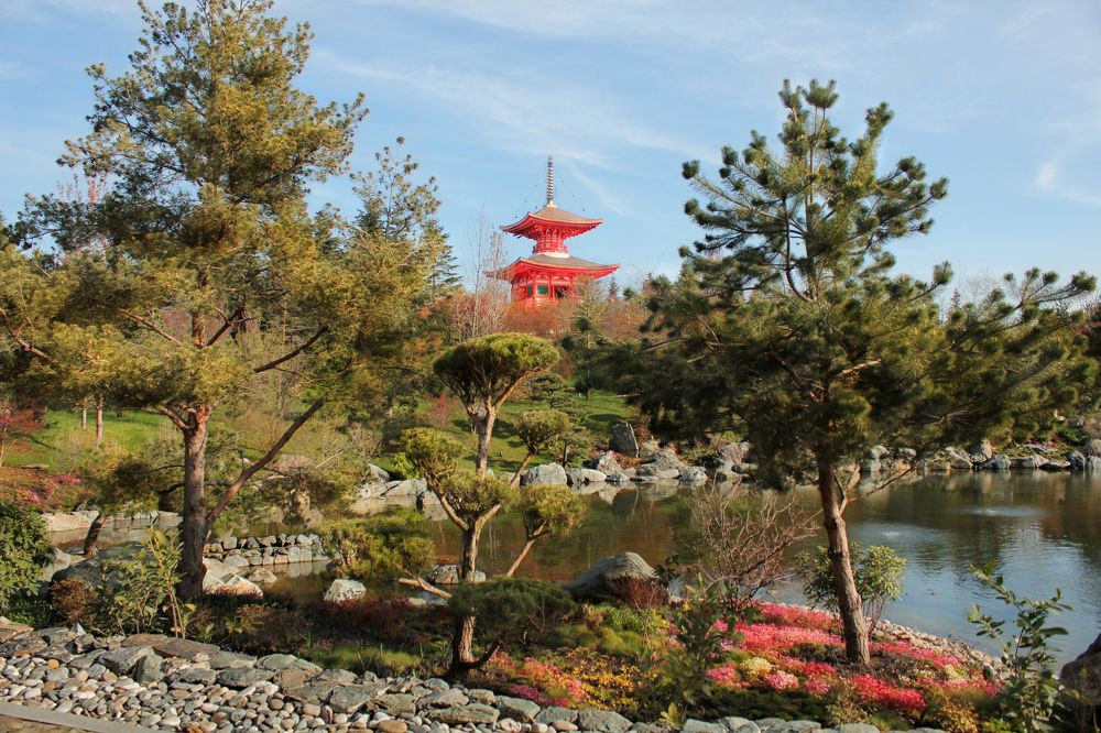 Photograph by Алëна Тополян