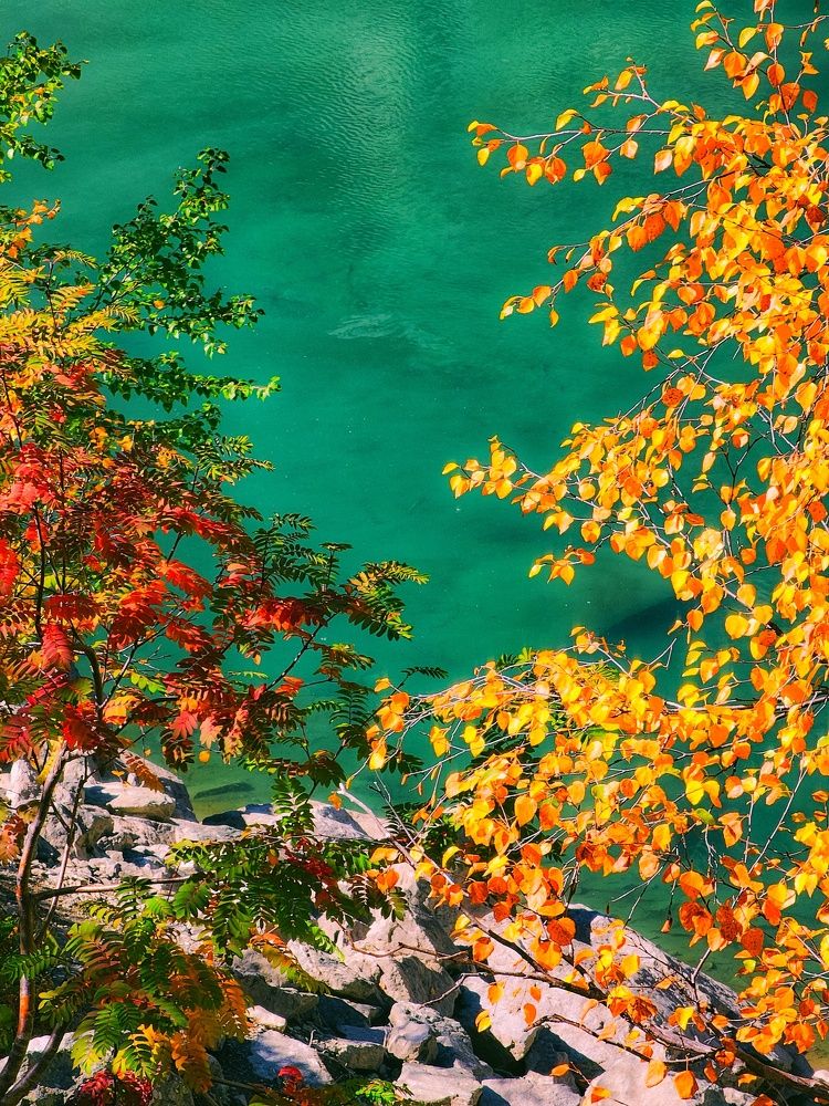 Photograph by Аня Белозерова