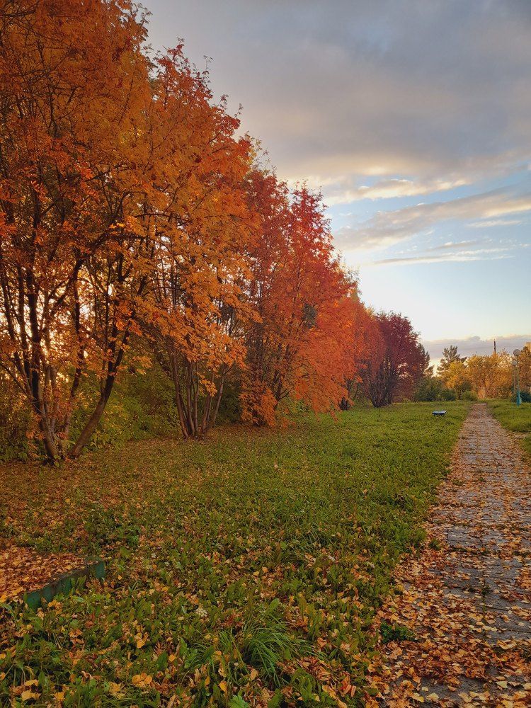 Photograph by Марина