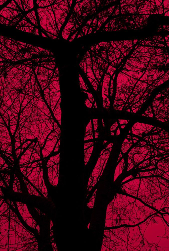 Фотография автора Дарья Дмитриевна