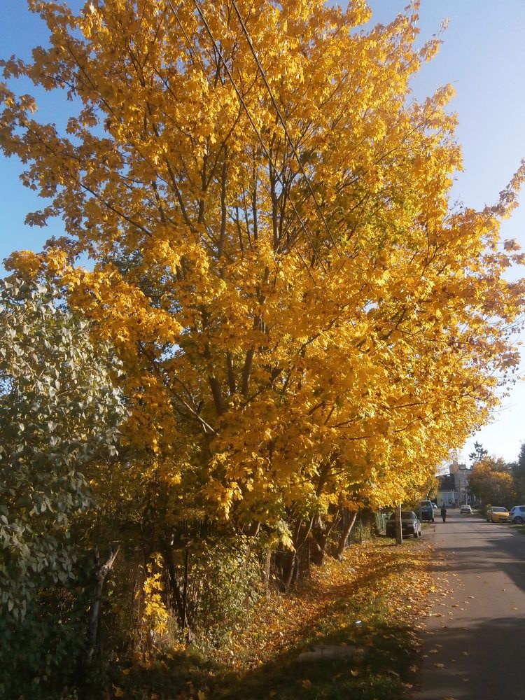 Photograph by Антон