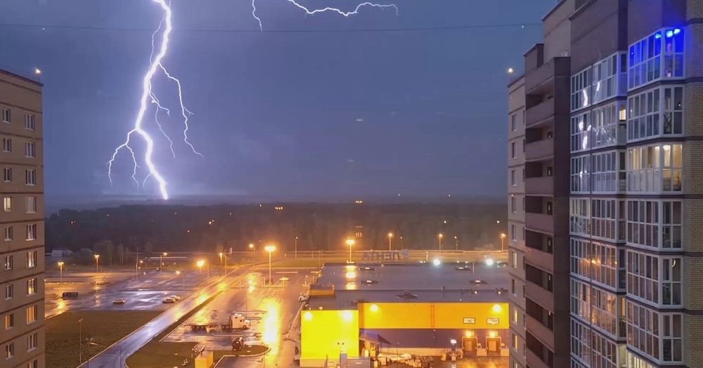 Photograph by Natasha Kim