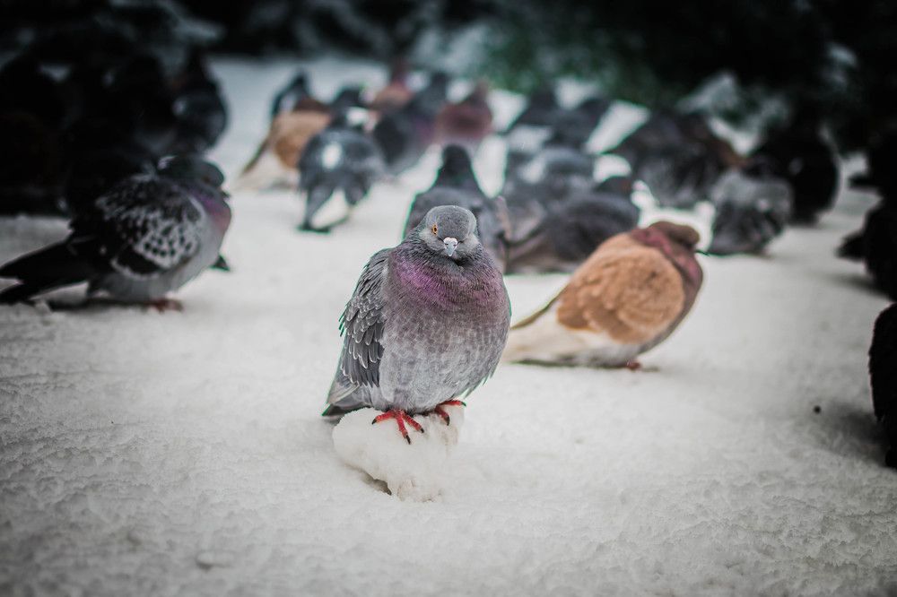 Photograph by Анна Виноградская