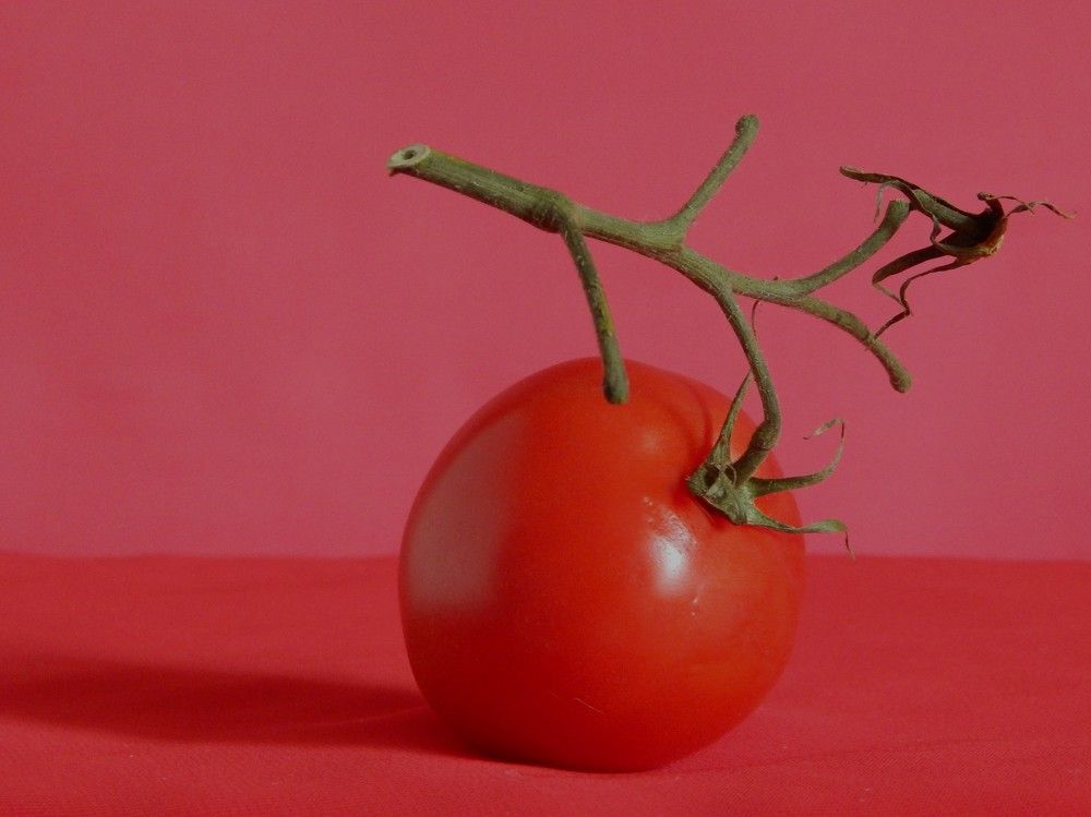 Photograph by Ирина Самойленко