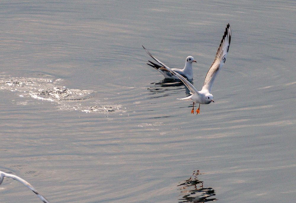 Фотография автора Алексей Клоков