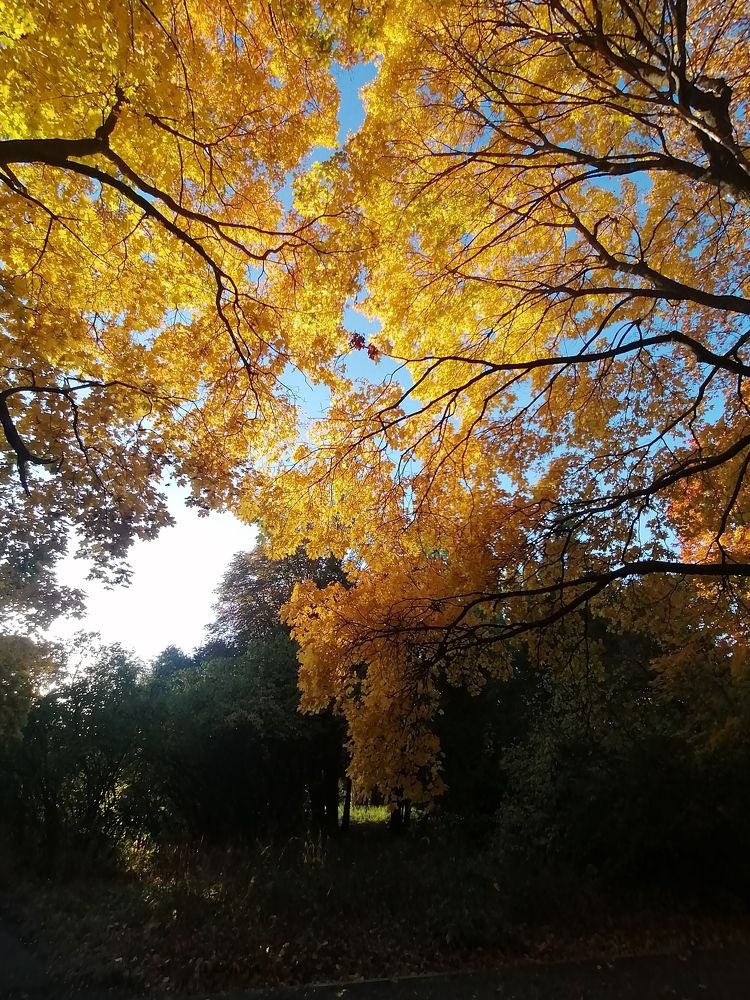 Photo #11186609