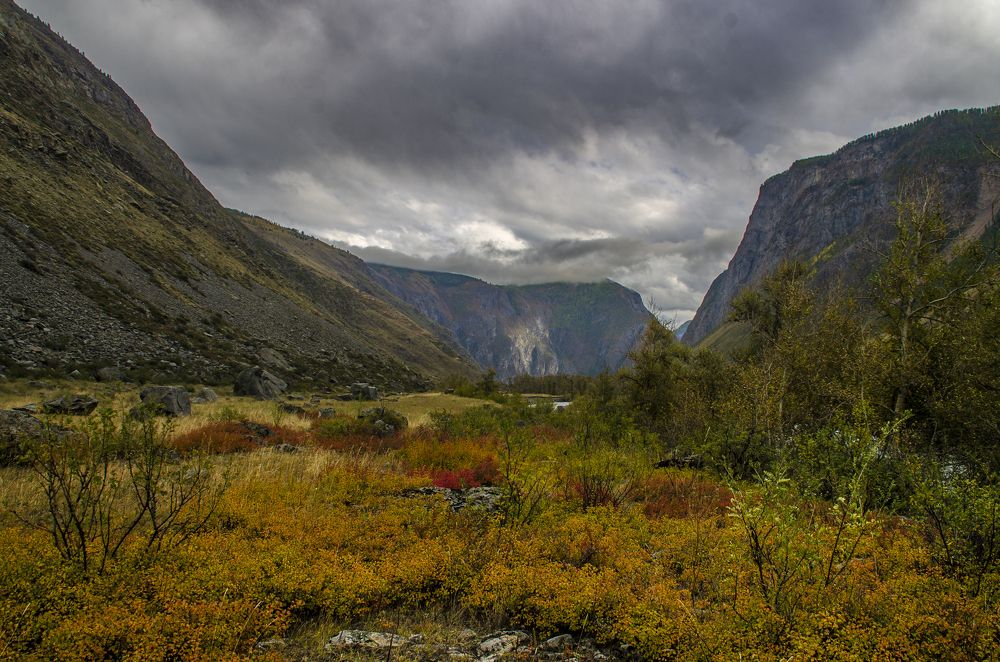 Photograph by Надежда Михайлина