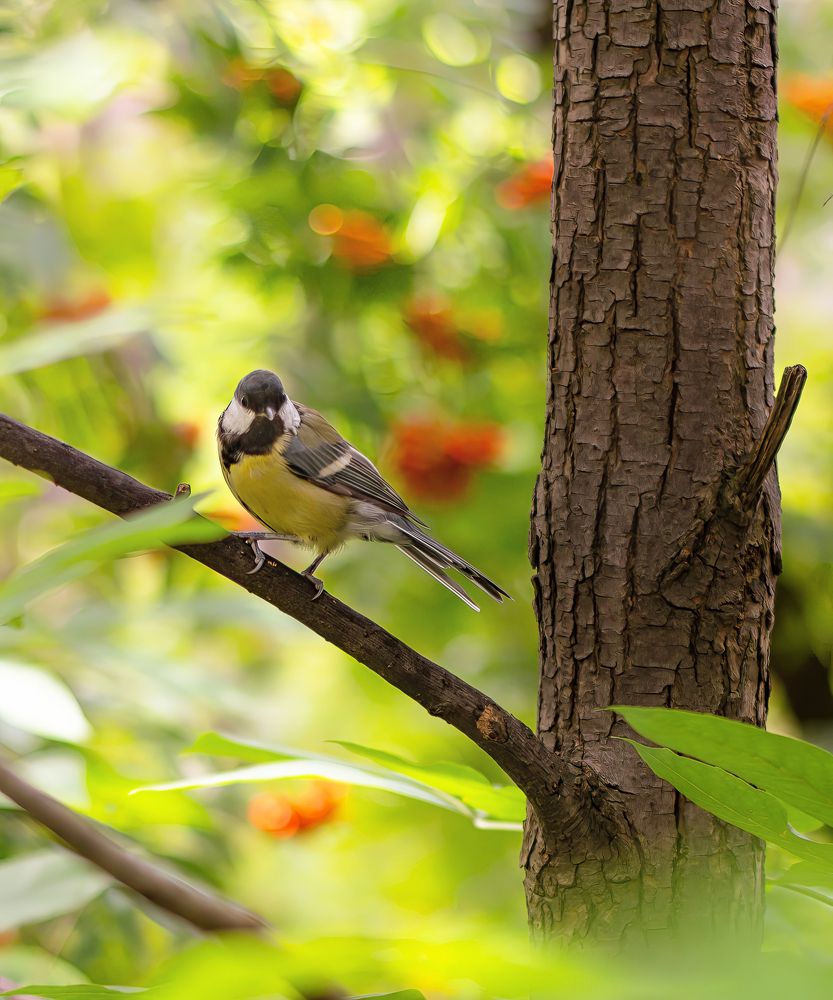 Photograph by Денис Гончаренко