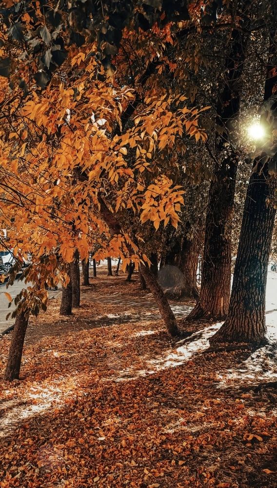 Photograph by Анна Виноградская