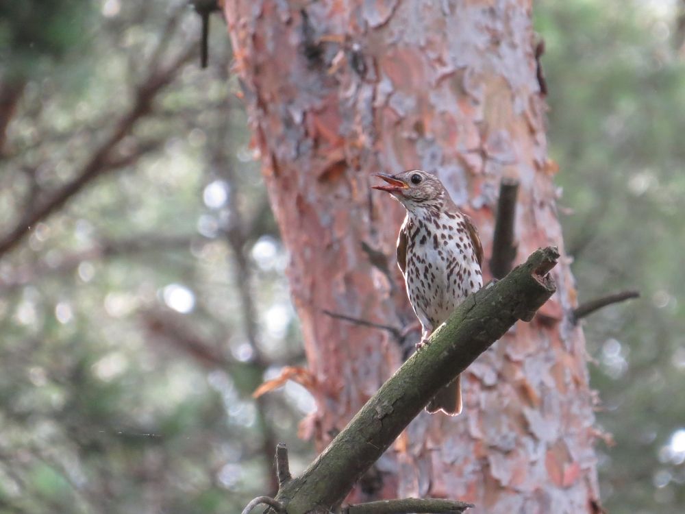 Photograph by Оксана Малахова
