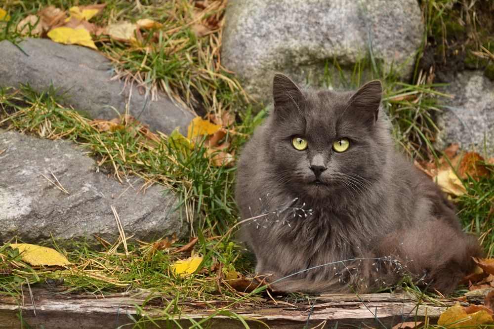 Photograph by Соколова Елена