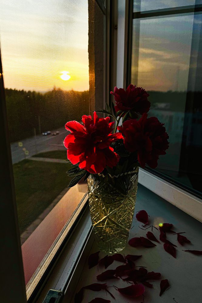 Фотография автора Татьяна Иванова