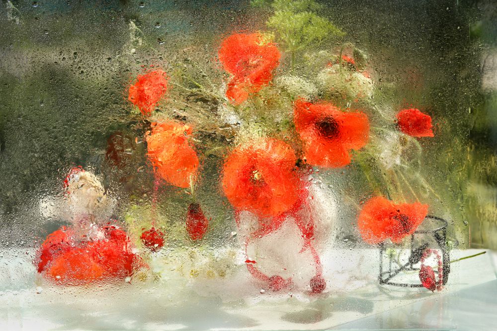 Photograph by Шруб (Беляева) Татьяна