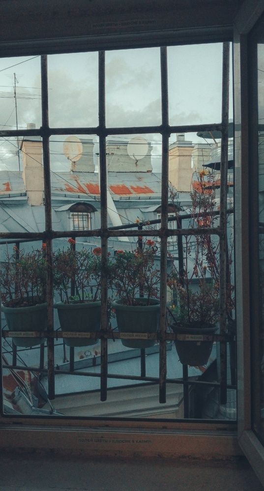 Фотография автора Valerya Vasileva