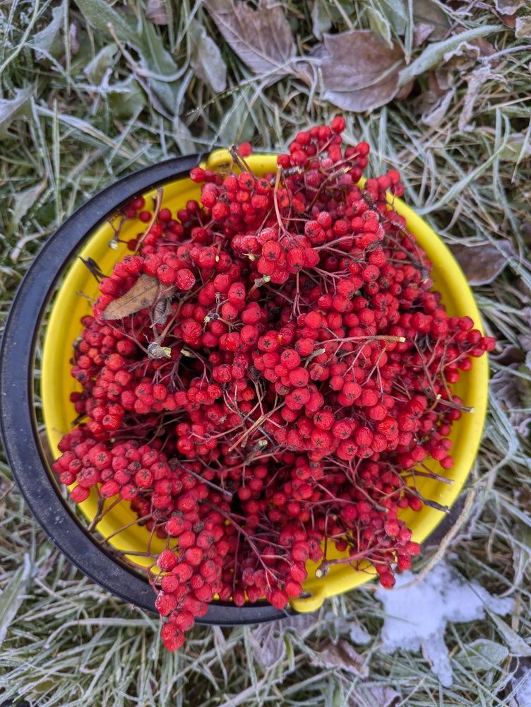 Фотография автора Сергей Шевырин