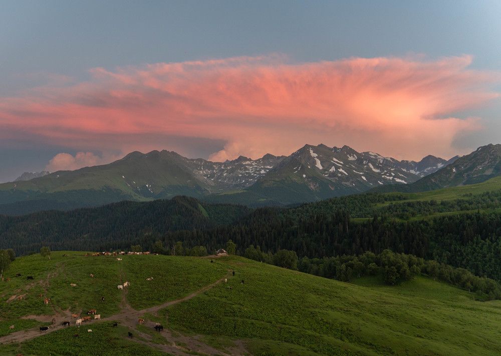 Photograph by Дарья Карамышева