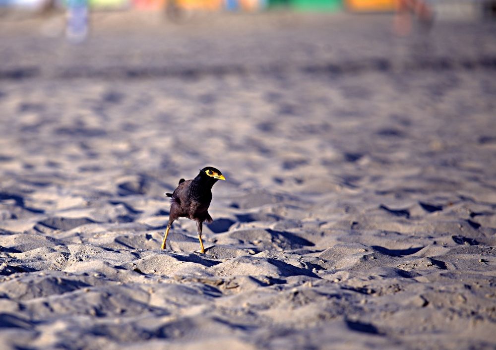 Photograph by Сергей Рапопорт