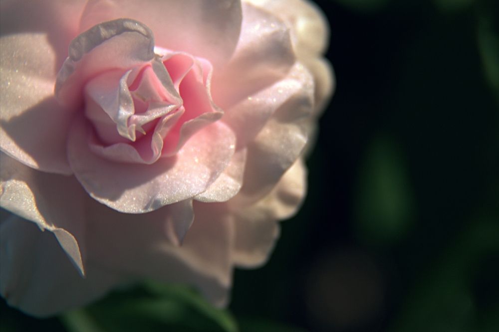 Photograph by Ирина Соколова