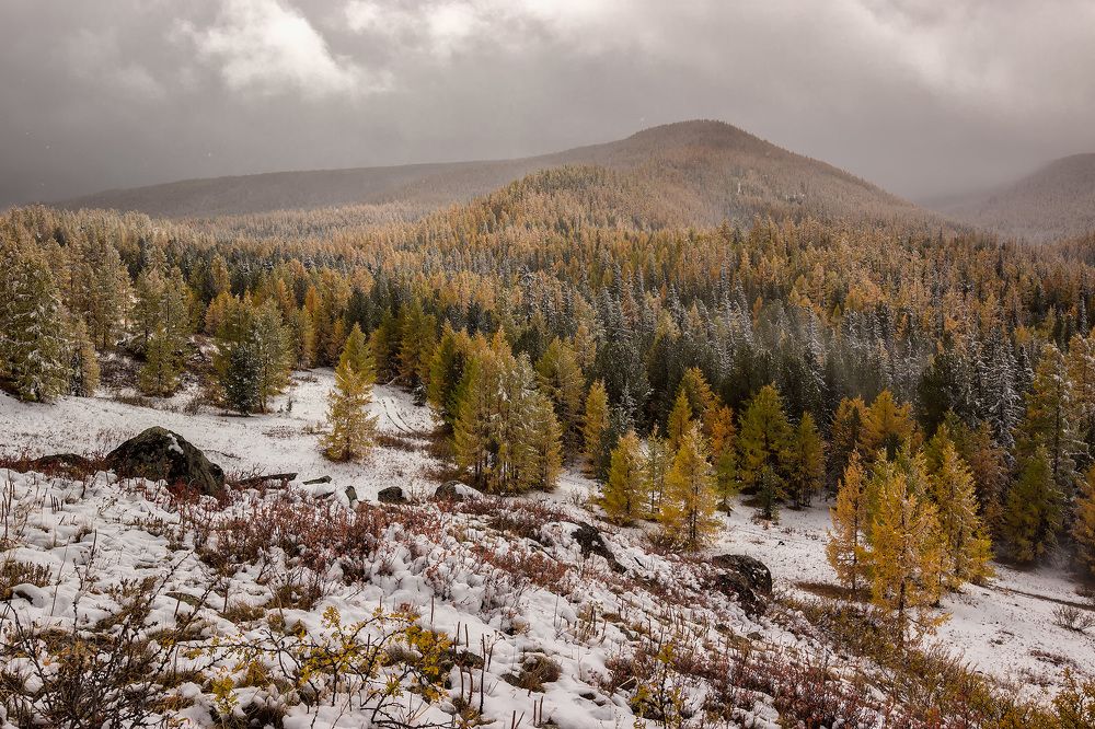 Photograph by Головченко Юрий