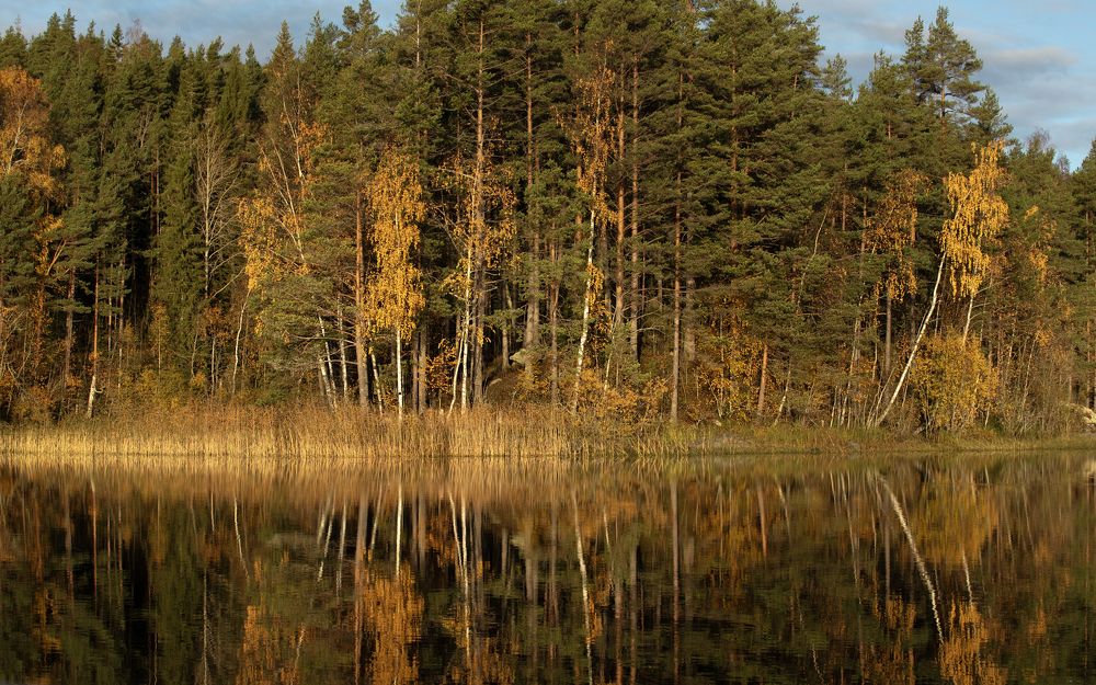 Photograph by Игорь Разенков