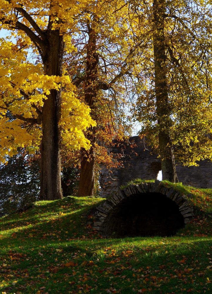 Photograph by Nadezda Sarap