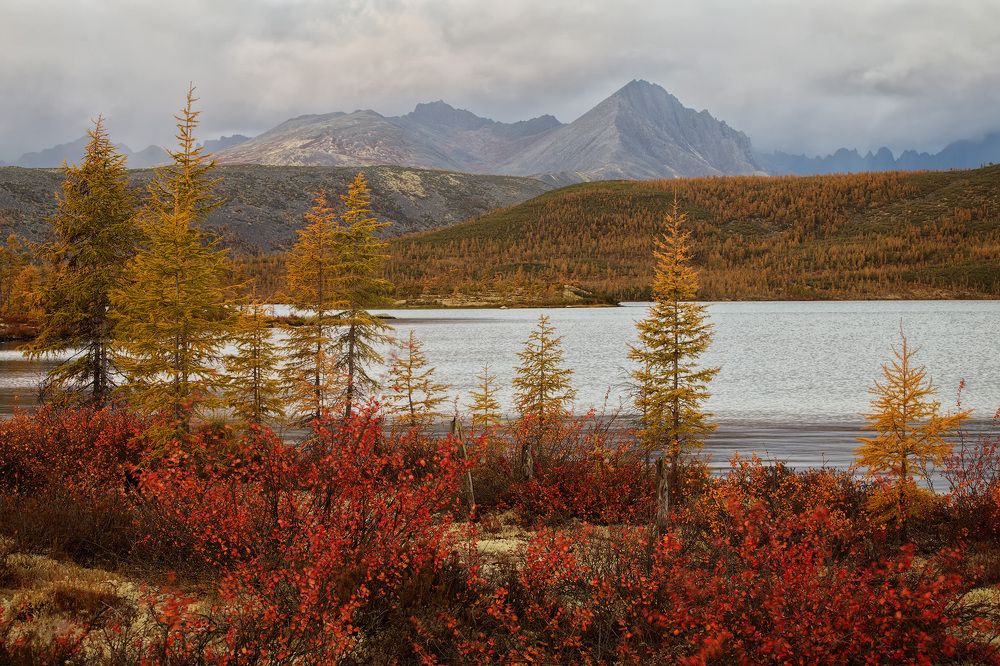 Photograph by Головченко Юрий