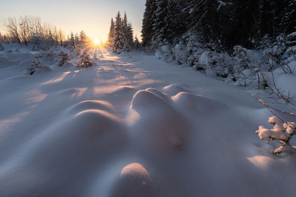 Photograph by Алексей Турчин