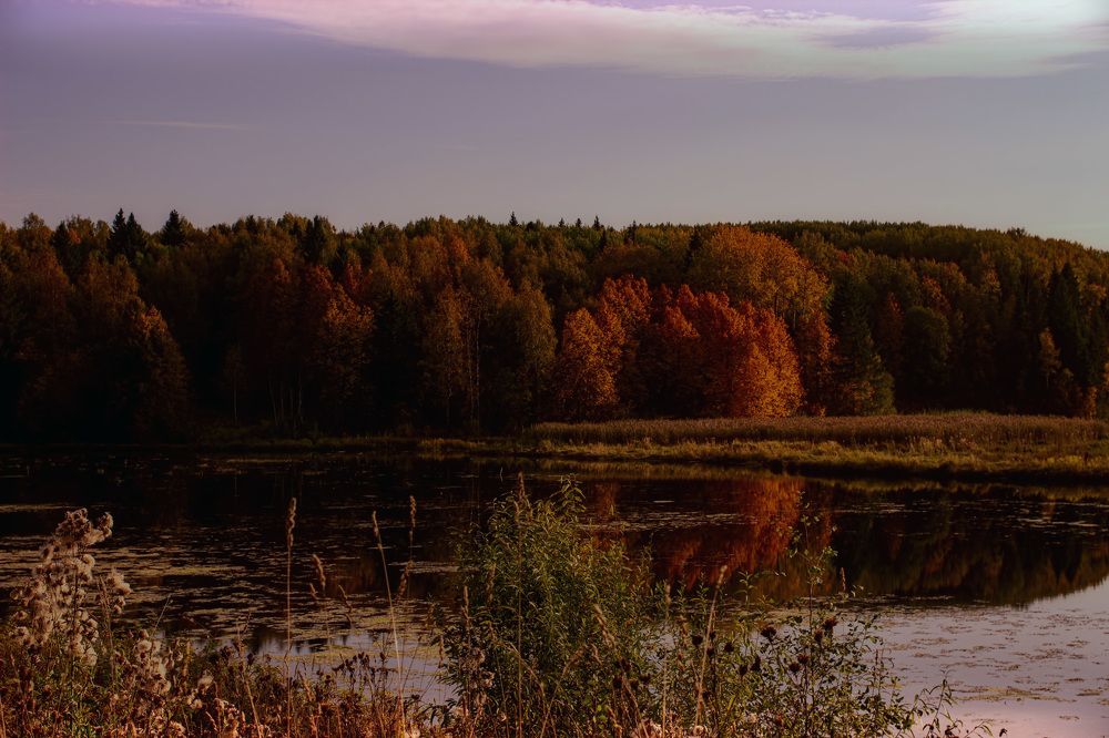 Photograph by Александр Удальчиков