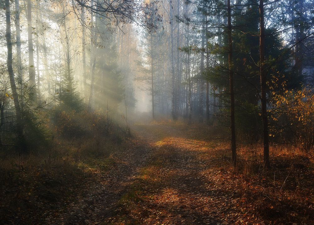 Photograph by Алексеев Сергей