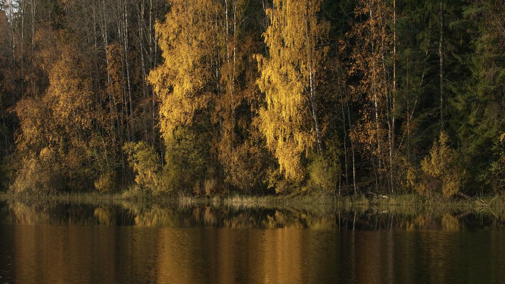 Photograph by Игорь Разенков