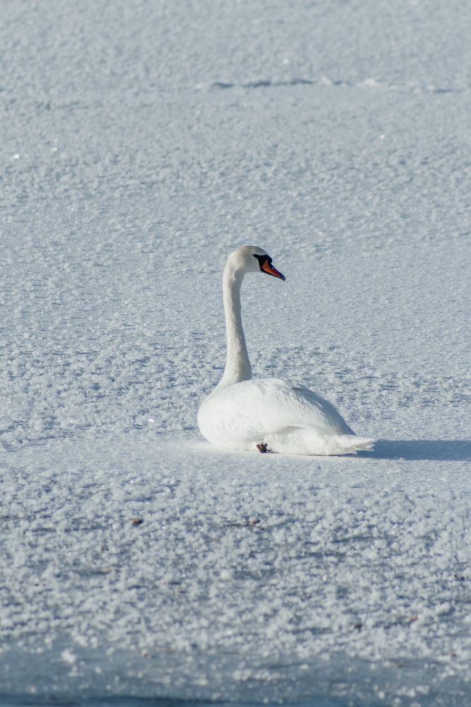 Photograph by Anna Dubinina