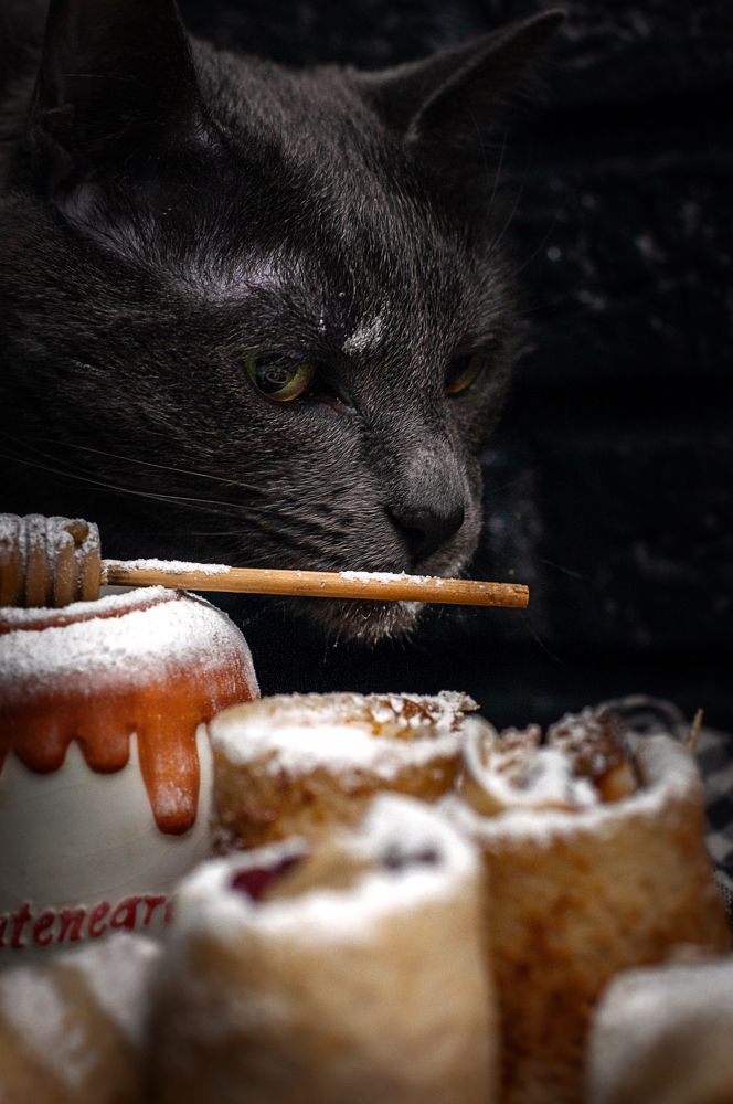 Photograph by Анна Орманжи