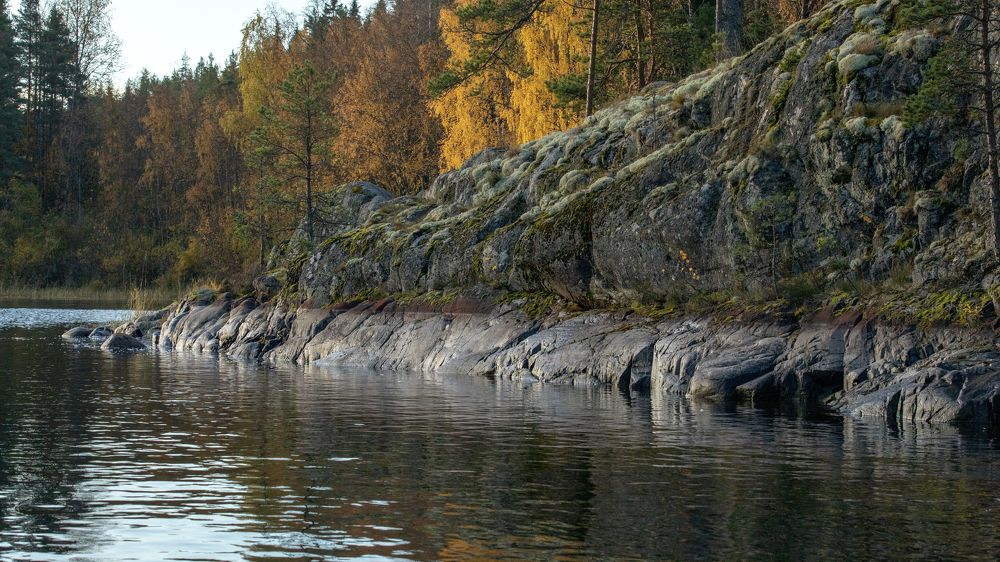 Photograph by Игорь Разенков