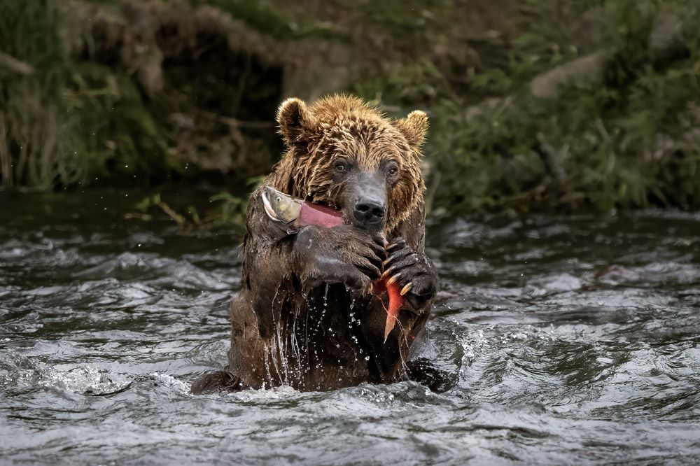 Photograph by Николай Мозгунов