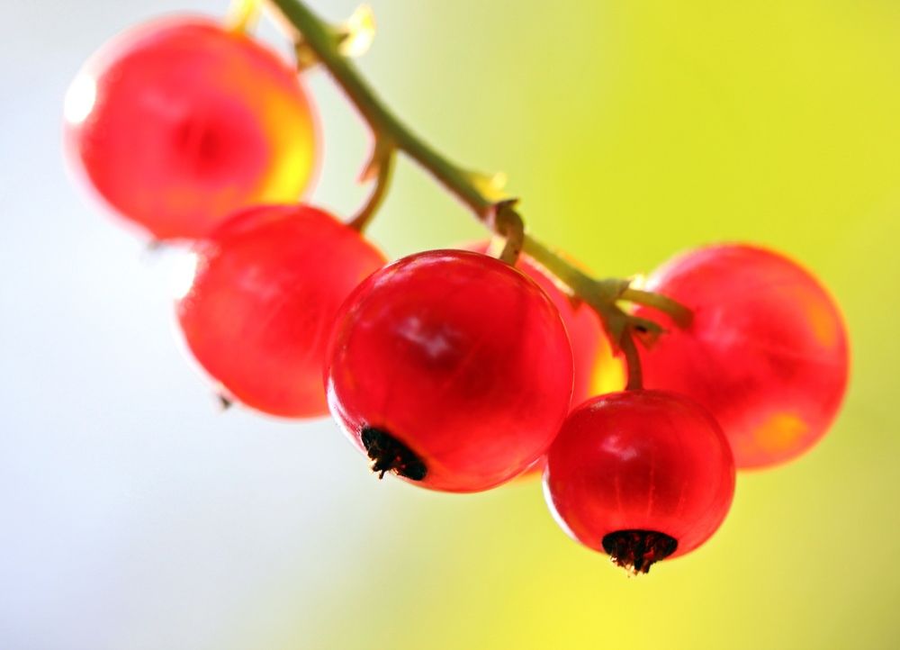 Photograph by Любовь Саханова