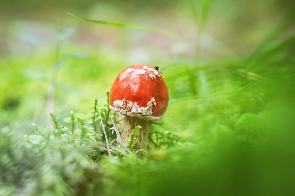 Photograph by Соколова Елена