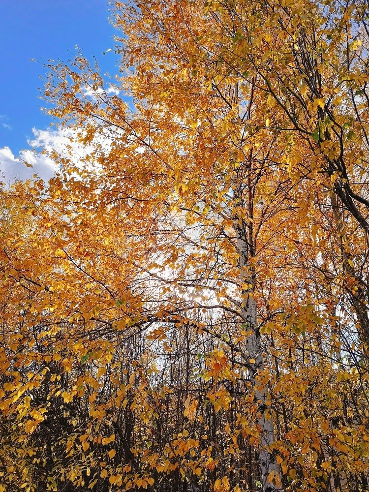 Photograph by Лариса Натальская