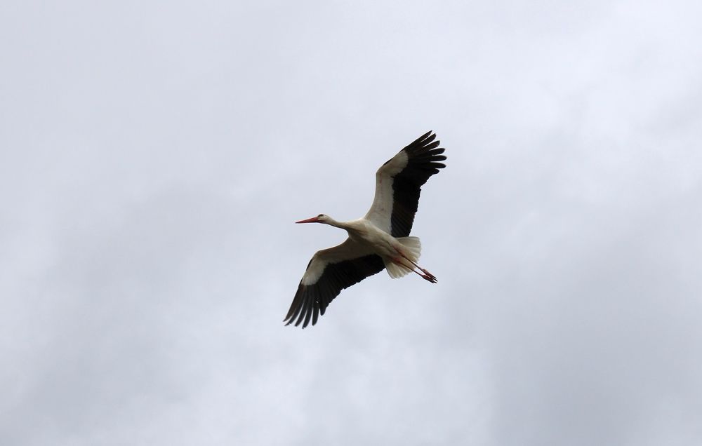 Photograph by Olga Bagaeva