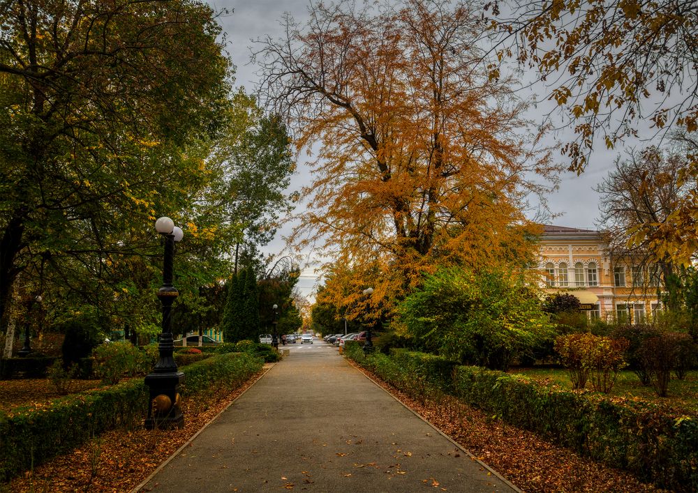 Photograph by Владимир Кваша