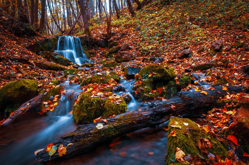 Photograph by Александр Ермаченко