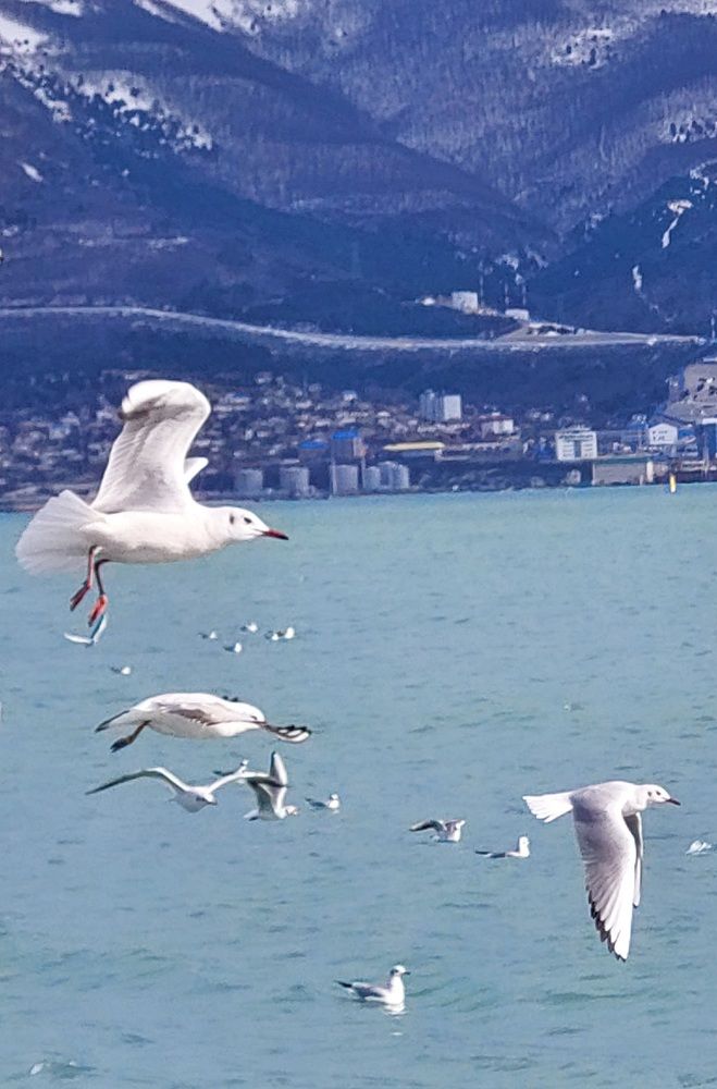 Photograph by Марина Жарикова