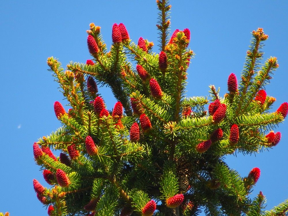 Photograph by Лариса Басова