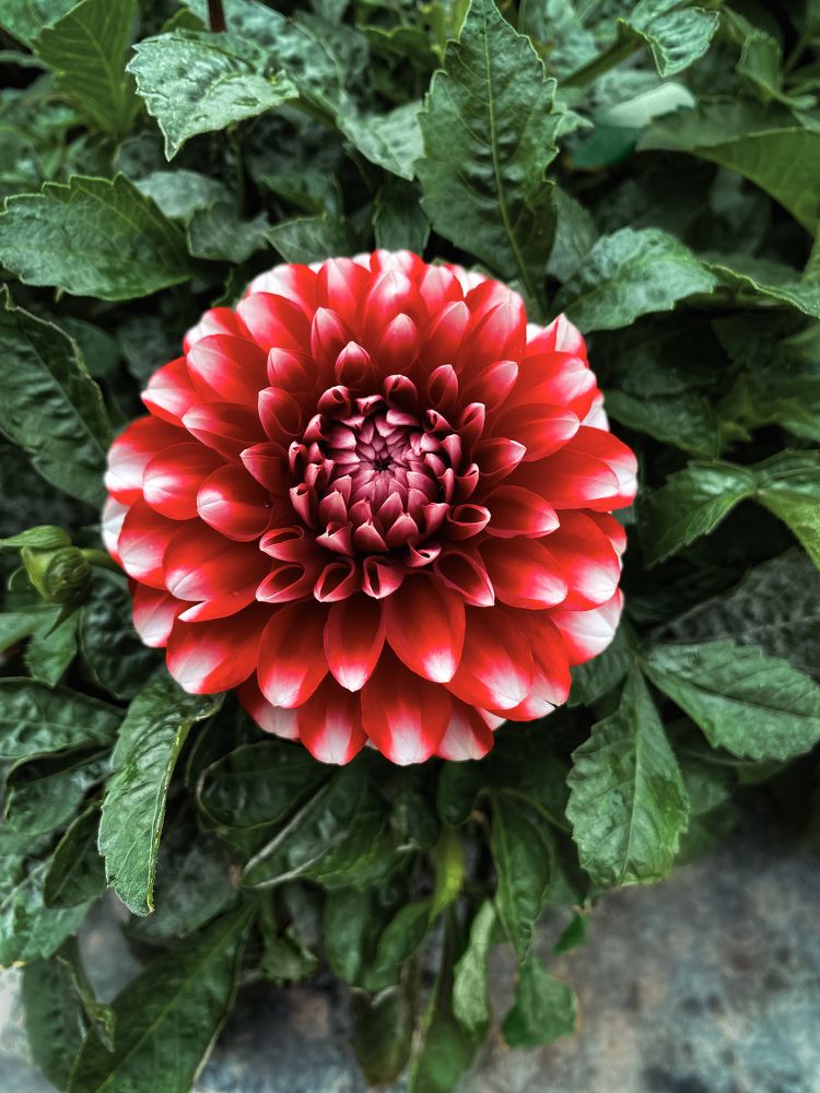 Photograph by Вадим Карпов