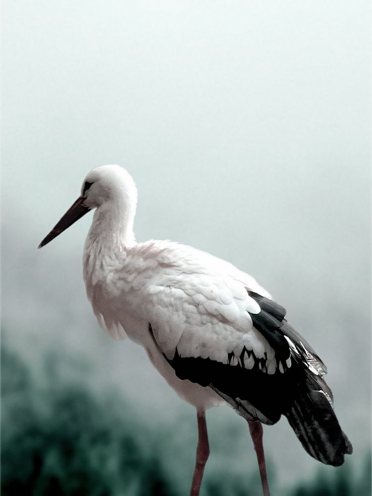 Photograph by Елена Громова