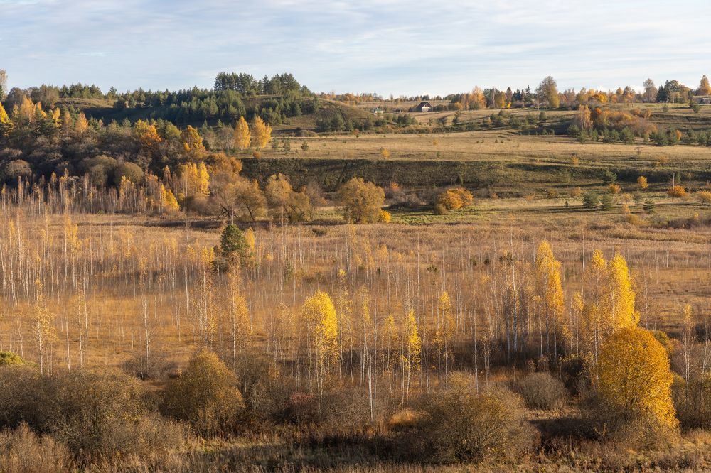 Фотография автора Виктор Громов